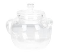 Hohopeti Théière Japonaise en Verre Borosilicaté 120 Ml Mini Théière Kungfu avec Filtre Intégré Service à Thé Domestique pour Infusion de Fleurs Usage Maison et Bureau