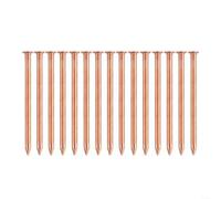 HOHOVYVY Clous d'arbre en cuivre 2 pouces pour l'enlèvement des souches d'arbre Destruction des racines Couleur cuivre robuste Grand paquet Convient pour les travaux de jardinage