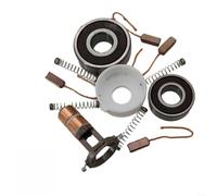 HOHOVYVY Pour Pièces d'alternateur Renault, Kit de réparation de générateur, Kit de réparation de générateur pour Renault pour Valeo 8200386806 Alternateur avec roulements Ensemble de brosses
