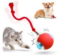 HOIDOKLY Jouets interactifs pour chien et chat, 2026 nouvelles boules intelligentes roulant automatiquement à 360°, boule roulante, jouet de poursuite durable à mouvement rapide pour chats d’intérieur