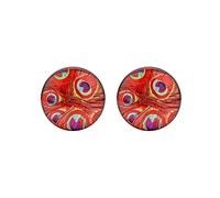 Hoisy Dilatateurs d’Oreille Set de 2, Ecarteur Oreilles 6mm(2G) Plein, avec Motif de Plumes de Paon, Acier Inoxydable, Argent