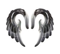 Hoisy Expansion de Lobe Set de 2, 10mm(00G) Tunnel Plug D'Oreille, Aile, Résine, Gris Noir