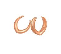 Hoisy Plugs d’Expansion 2 Pièces, 12mm(1/2 inch) Écarteur, Forme en U, Acier Inoxydable, Or Rose