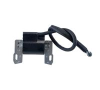 Hoite Module de bobine d'allumage de moteur, pack haute pression pour tondeuse à gazon, compatible avec les références 691060, 799651, 592846 et 843860