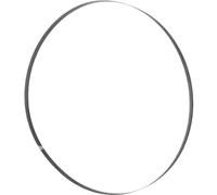 Lame de scie à ruban Holzmann BSB550B30 Holzmann Maschinen BSB550B30 N/A