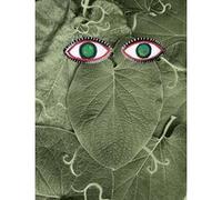 Hoja Santa Maya Art (Photographie), Mariana Martinez Salgado (Traduction), Émilie Fernandez (Traduction)