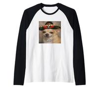Hola Funny Happy Chihuahua Sombrero Blurry Meme Manche Raglan