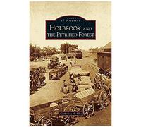 Holbrook And The Petrified Forest