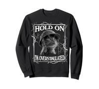 Hold on I'm Overstimulated Funny Cat Dramatic Lightning Band Sweatshirt