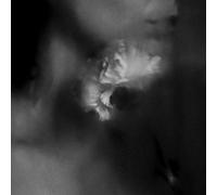 Holding Absence - Holding Absence - Clear W/ Black Splatter [Vinyl Lp] Black, Colored Vinyl, Clear Vinyl
