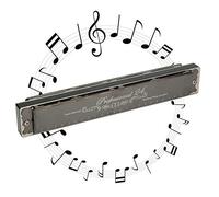 Hole Harmonica, 24 Hole 1.2mm Harmonica Polyphonic Mouthorgan Brass Base Plate Professional Stainless Steel Instrument for Music Lover Play (Touche D)