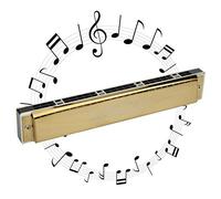 Hole Harmonica, 24 Hole 1.2mm Harmonica Polyphonic Mouthorgan Brass Base Plate Professional Stainless Steel Instrument for Music Lover Play (Clé D)