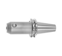 HOLEX Holex Mandrin Weldon, type AD, SA 40 A = 100,⌀ serrage D1: 18 mm Quantité:1
