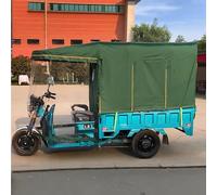 HOLGVE Housse de Ttricycle, Bâche Pour Tricycle Cargo Trois Roues, Housse de Protection Intégrale Pour Cadre de Tricycle Avec Rideaux Latéraux(Gree,70x43in/180x110cm)