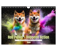 Holi Poudre - Double action (calendrier mural 2026 DIN A4 paysage) - Calendrier mensuel CALVENDO