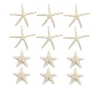 Holibanna 12 Pièces Décoration Étoile de Mer Naturelle Ornements Décoratifs pour Bricolage Décoration Plage et Fête Bord de Mer