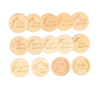 Holibanna 14pièces Cartes Pour Disques Ronds Et Découpes Pour Jalons De Croissance Accessoires Photo Né
