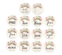 Holibanna 14pièces Lot De Cartes Mensuelles Pour Inscription Jalons Peintes Fournitures