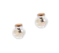 Holibanna 2 Ensembles Bouteille à Messages Capsule avec Capsules Noires Idée Original pour Anniversaire Mariage et Amour