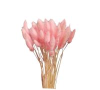 Holibanna 20 Pièces bâtonnets de Cannelle queues de Lapin décor de Mariage Vert décorations de Mariage Ornement Usine Fleurs séchées Accessoires Photo Artificiel Plante Bouquet décorer Rose
