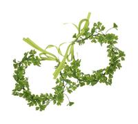 Holibanna 2pièces Couronne Shamrock Verte Accessoires De Saint-patrick Fête Mariage Costume Événements Spéciaux Décorations