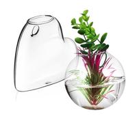 Holibanna 2pièces Stations De Multiplication Verre pour Plantes Intérieur Jardinières Murales Suspendues Décoration Murale pour Terrarium