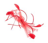 Holibanna Bandeau Fascinator Vintage Élégant Avec Plumes Et Tulle Pour Femmes Accessoire Chic Pour Mariages Thé Parties Et Événements Nocturnes
