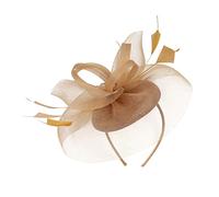 Holibanna Chapeau Barrette Plume Casque De Thé Bandeau De Fascinateurs Coiffe De Banquet De Mariée Chapeau De Paille Hommes Chapeau Fedora Pour Hommes Casque De Mariage Fuchsia Golden Soie