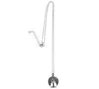 Holibanna Collier Urne De Crémation Pendentif Pour Souvenir Élégant Pour Et Femmes Commémoratif Souvenir Des Êtres