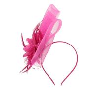 Holibanna Fascinator Élégant Avec Plumes Et Voilette Pour Femmes Accessoire De Cheveux Chic Pour Mariages Fêtes Et Tea Parties