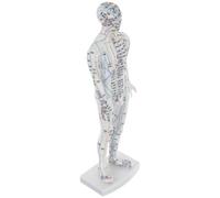 Holibanna Modèle Acupuncture et Méridiens Blanc en Plastique avec Instructions de Localisation des Points pour Étudiants en Acupuncture en Salle de Classe