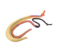 Holibanna Modèle D'enseignement Anatomique de Schistosoma Hermaphrodite Démontable, Matériel Pédagogique Scientifique Détails Précis, Modèle Moyen pour Cours de Biologie et Recherche