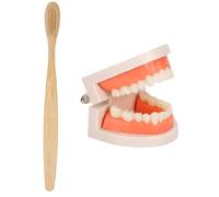 Holibanna Modèle Garçon Fille Avec Brosse À Dents Enseignement Hygiène Buccale Jeu Éducatif Montessori