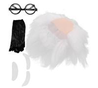 Holibanna Wig Set With Eyebrows Beard And Glasses Synthetic Short Hair For Adult Men Professor Cosplay Costume For Halloween And Themed Parties