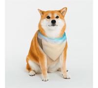 Holiday by The Seaside Bandana pour chiens de petite, moyenne et grande taille, foulard triangle pour fille ou garçon