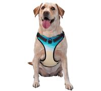 Holiday by The Seaside Harnais pour chien, équipé de sangles réfléchissantes pour animaux de compagnie et de boucles à dégagement rapide, convient à tous les types de chiens