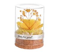 HOLIDYOYO 1pièce Fleur Immortelle sous Cloche Verre Décoration Créative pour Noël Et Anniversaires Idée Éblouissante pour Femme Et Amoureux Rose Éclatante Un Bocal Verre