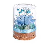 HOLIDYOYO 1pièce Rose Éternelle sous Cloche Verre Créatif pour Noël Et Saint-Valentin Décoration Romantique avec Fleurs Élément De Style pour Surprendre Vos Proches