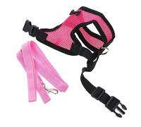 HOLIDYOYO Harnais pour Poules en Nylon Respirant Réglable, Taille M, Laisse De Traction pour Promenade Extérieure, Adapté Poulets, Canards Et Oies De Compagnie