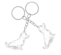 HOLIDYOYO Lot de 2 Porte-Clés Collecteurs de Poils de Chien en ABS Transparent Boîte à Souvenirs Compacte de Chien Porte-Clés Mémorial Portable pour Rangement de Poils D’Animaux