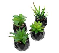 HOLIDYOYO Lot De 4 Faux Bonsaïs Succulents Artificiels, Décorations Réalistes en Plastique, Vert Naturel, pour Bureau Et Maison, sans Entretien, Ensemble De Plantes Succulentes Décoratives
