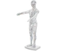 HOLIDYOYO Modèle D’Acupuncture Masculin en Plastique Solide Corps Humain Complet Points de Pression et Méridiens Étiquetés Outil Pédagogique pour Formation en Acupuncture et Massage