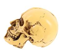 HOLIDYOYO Modèle de Crâne Humain Réaliste pour L'Enseignement Taille Grandeur Nature Plastique Solide Outil Pédagogique pour Étude Anatomique et Observation Scientifique