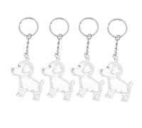 HOLIDYOYO Porte-Clés Boîte à Souvenirs Transparente pour Poils de Chien Lot de 4 Porte-Clés Commémoratifs de Chien Rangement Sécurisé pour Souvenir Animalier Accessoire de Paquet