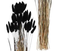 HOLIDYOYO Queues de Lapin Fleurs Séchées Noires 60 Pièces Décorations Mariage Bohème Compositions Centre de Table Élégantes et Originales pour Maison et Événements