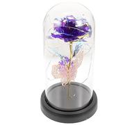 HOLIDYOYO Rose Éternelle sous Cloche en Verre avec Lumière LED Fleur Préservée Décorative Cadeau Romantique