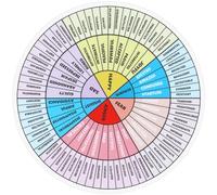 HOLIDYOYO Roue Émotionnelle Sticker Émotions Pour Réfrigérateur Tableau Et Éducatif Pour Expression Émotionnelle Outil De Sensibilisation Régulation Des Sentiments Pour Et Éducation