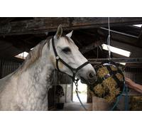 Holland Animal Care balle de foin Slowfeeder 40 cm, couleur:rose