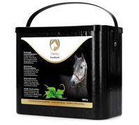 Holland Animal Care Excellent Herbs Ortie - Pour soutenir les voies urinaires et la circulation - Convient pour les chevaux - 800 g