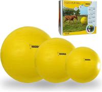 Holland Animal Care Maximus Power Play Ball